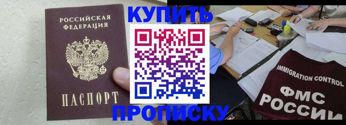 временная регистрация поиск в Курской области